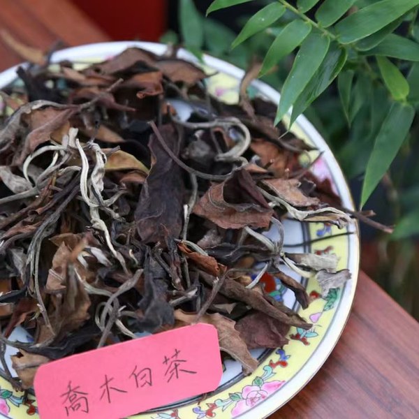 乔木白茶干茶实拍（碟装散茶·叶态自然·银毫显现）