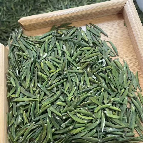太湖翠竹干茶实拍（竹木盘条索挺直似竹叶）
